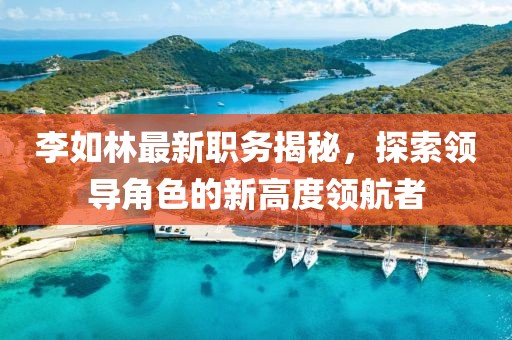 李如林最新职务揭秘，探索领导角色的新高度领航者