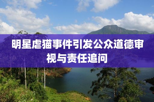 明星虐猫事件引发公众道德审视与责任追问