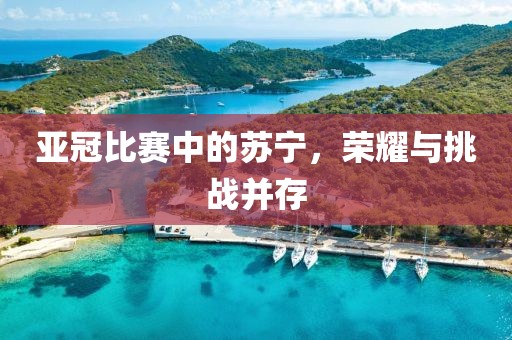 亚冠比赛中的苏宁，荣耀与挑战并存