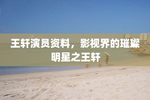 王轩演员资料，影视界的璀璨明星之王轩
