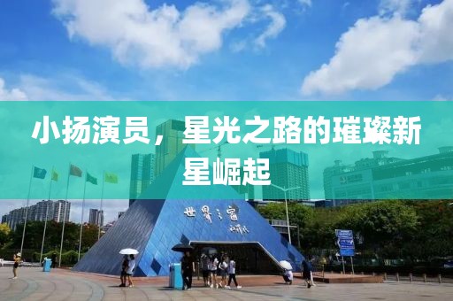 小扬演员，星光之路的璀璨新星崛起