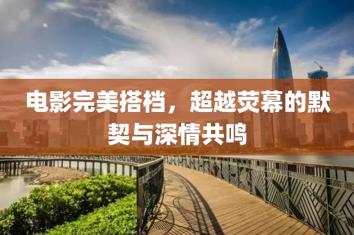 电影完美搭档，超越荧幕的默契与深情共鸣