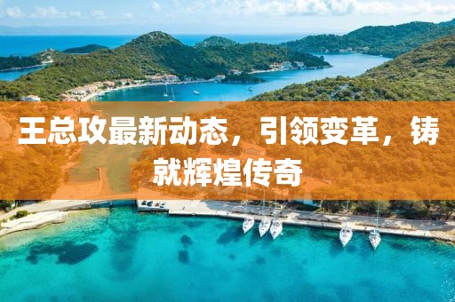 王总攻最新动态，引领变革，铸就辉煌传奇