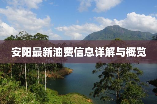 安阳最新油费信息详解与概览