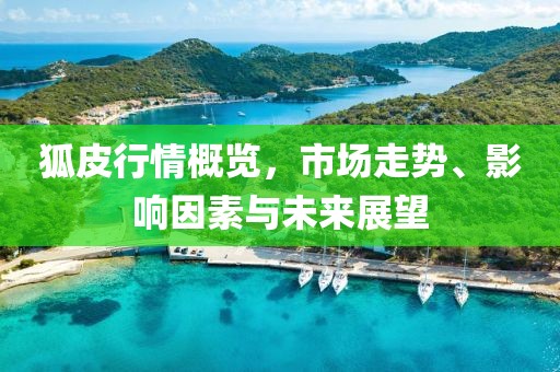 狐皮行情概览，市场走势、影响因素与未来展望