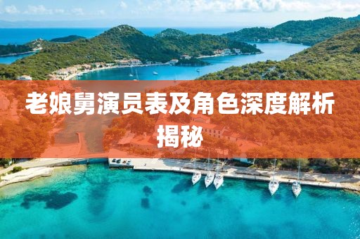 老娘舅演员表及角色深度解析揭秘
