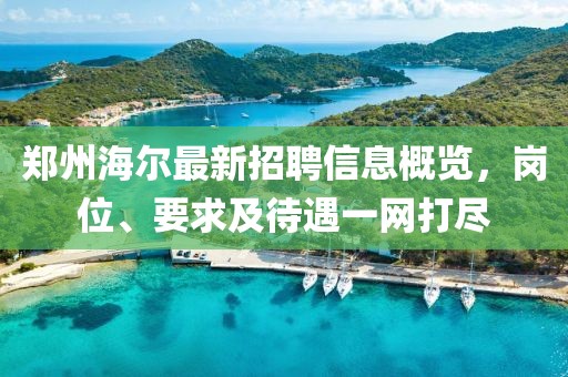 郑州海尔最新招聘信息概览，岗位、要求及待遇一网打尽