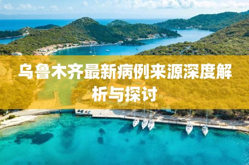 乌鲁木齐最新病例来源深度解析与探讨