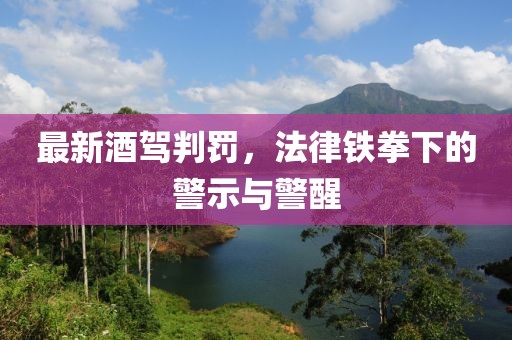 最新酒驾判罚，法律铁拳下的警示与警醒
