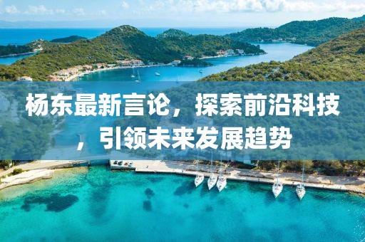杨东最新言论，探索前沿科技，引领未来发展趋势