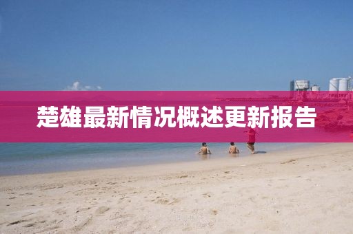 楚雄最新情况概述更新报告