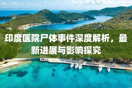 印度医院尸体事件深度解析，最新进展与影响探究