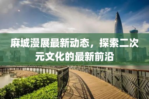 麻城漫展最新动态，探索二次元文化的最新前沿