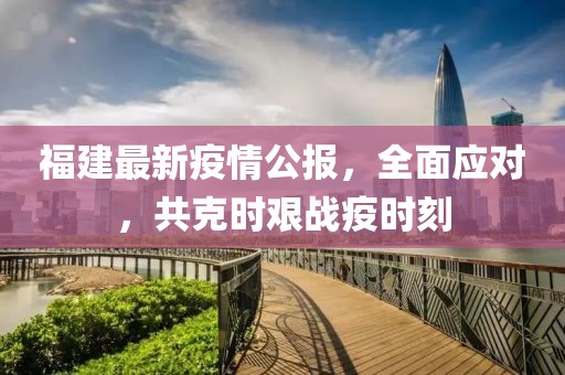 福建最新疫情公报，全面应对，共克时艰战疫时刻