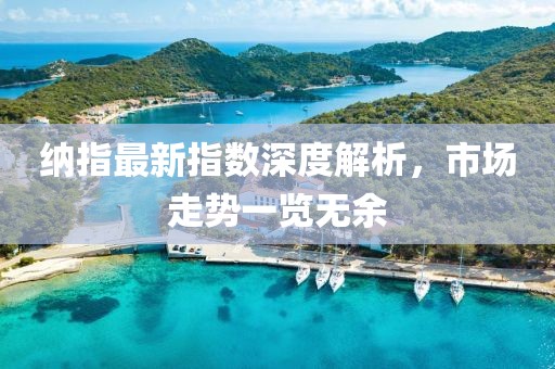 纳指最新指数深度解析，市场走势一览无余