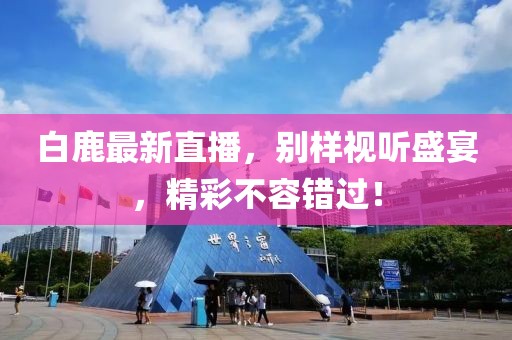 白鹿最新直播，别样视听盛宴，精彩不容错过！