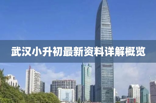 武汉小升初最新资料详解概览
