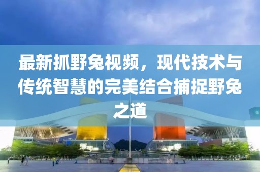 最新抓野兔视频，现代技术与传统智慧的完美结合捕捉野兔之道