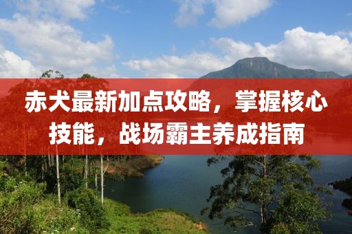 赤犬最新加点攻略，掌握核心技能，战场霸主养成指南