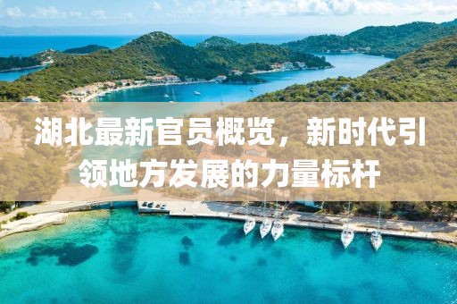 湖北最新官员概览，新时代引领地方发展的力量标杆