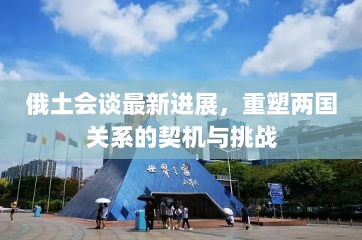 俄土会谈最新进展，重塑两国关系的契机与挑战