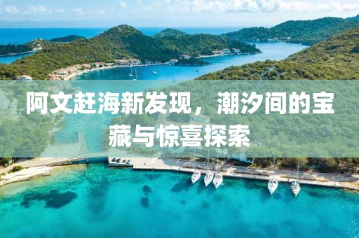阿文赶海新发现，潮汐间的宝藏与惊喜探索