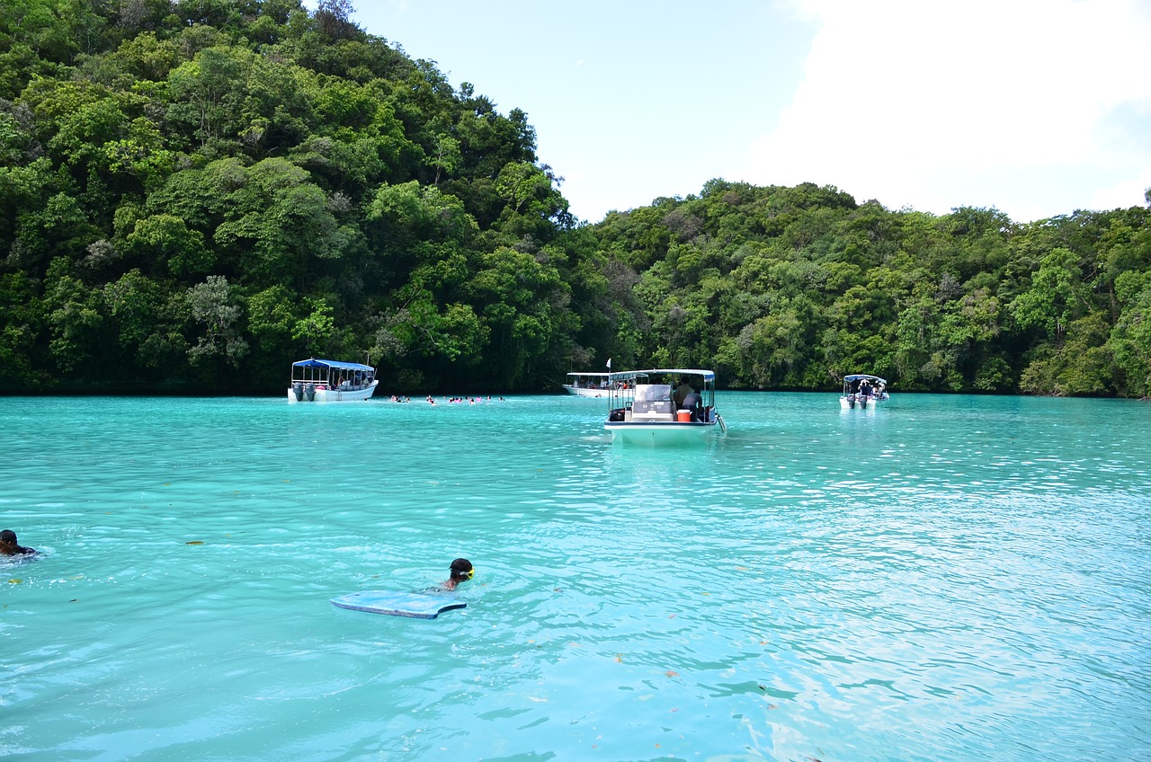 最新百科，探索知识的海洋之旅