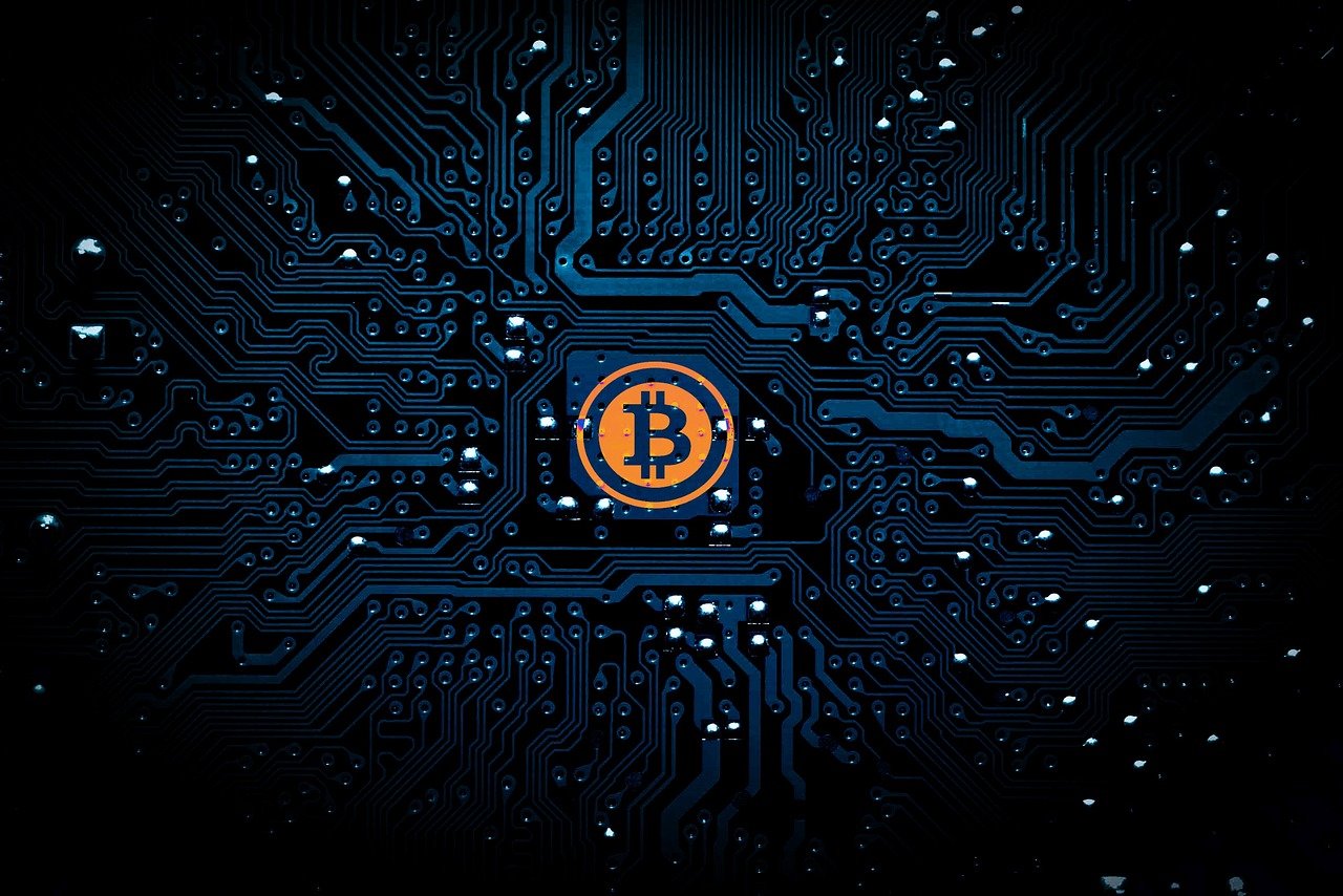 探索网络现象背后的真相与反思，最新捡尸网揭秘与反思