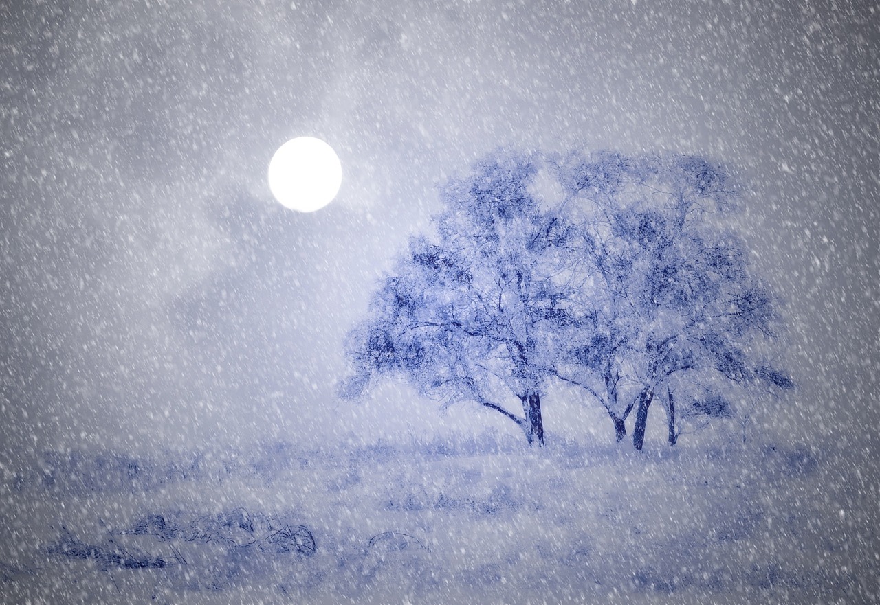 哈尔滨雪舞盛宴，纯净无暇的冬日奇景