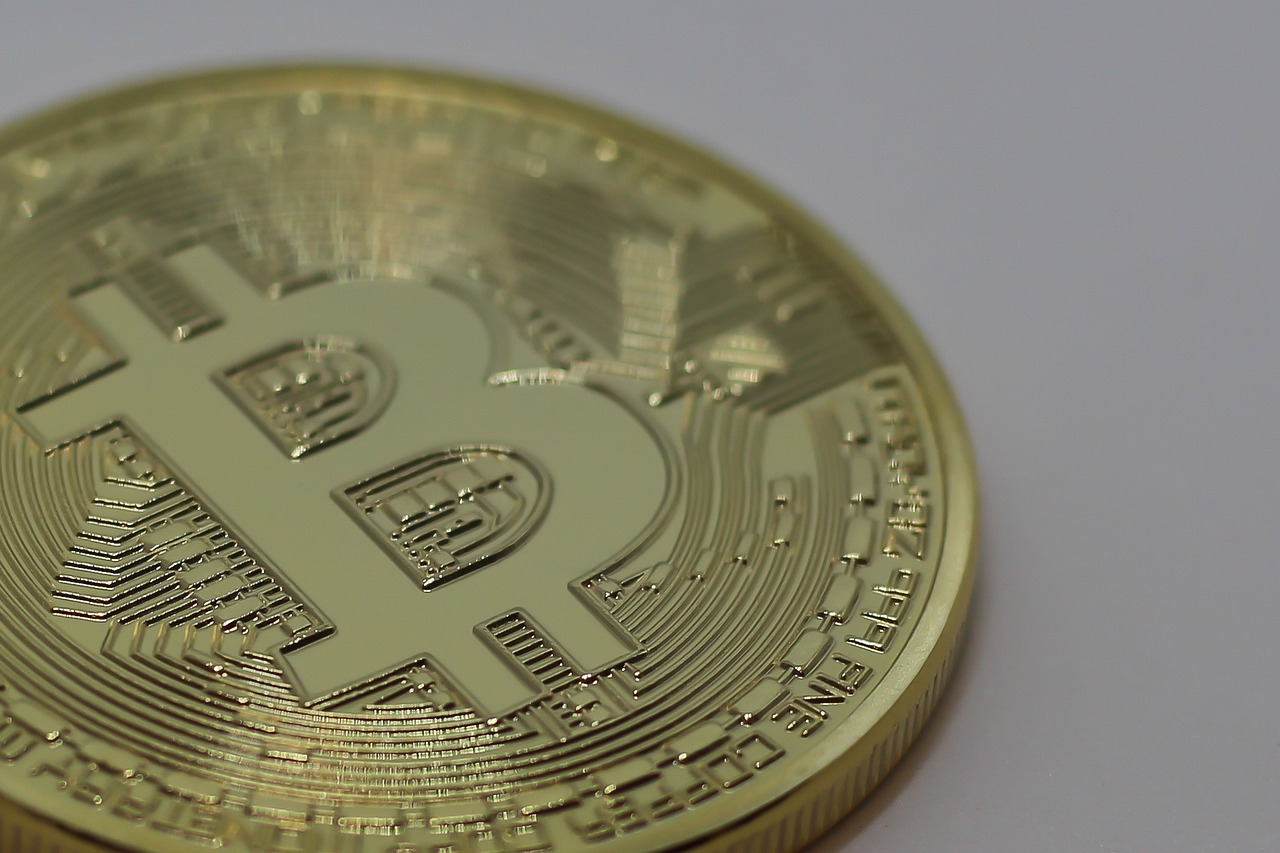 青翘最新价格动态解析及趋势分析