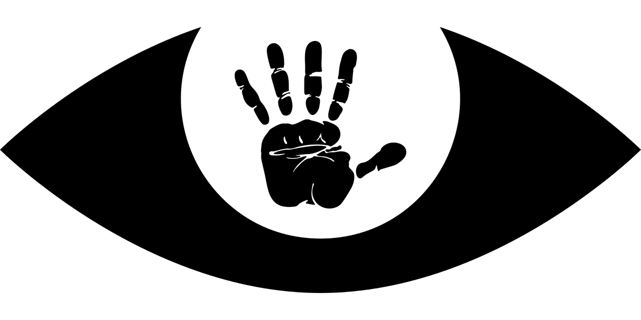 探索揭秘四虎最新动态，揭秘最新四虎信息速递