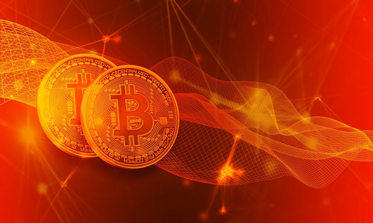 最新号号网，数字时代的全新探索体验