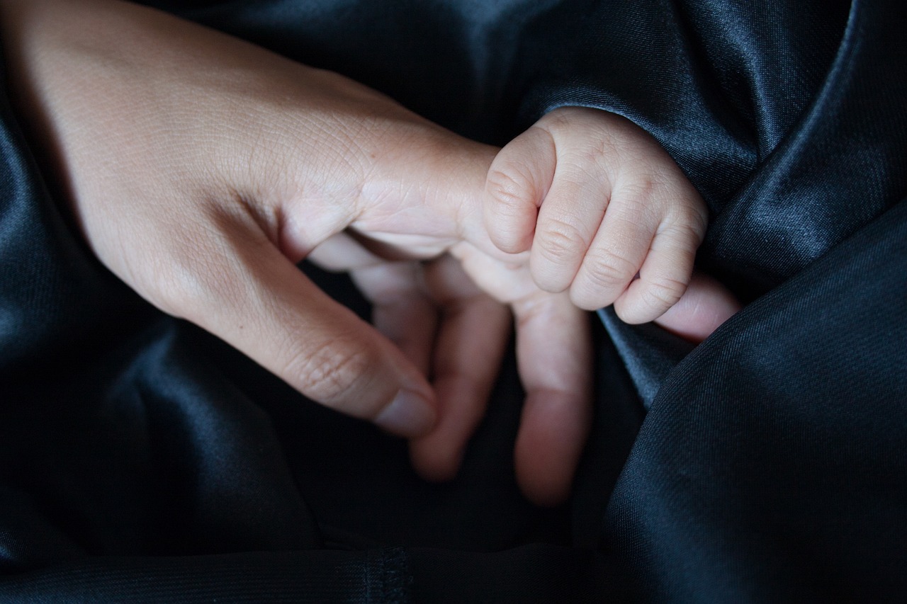 多护星奶粉最新动态，引领婴幼儿营养健康新篇章