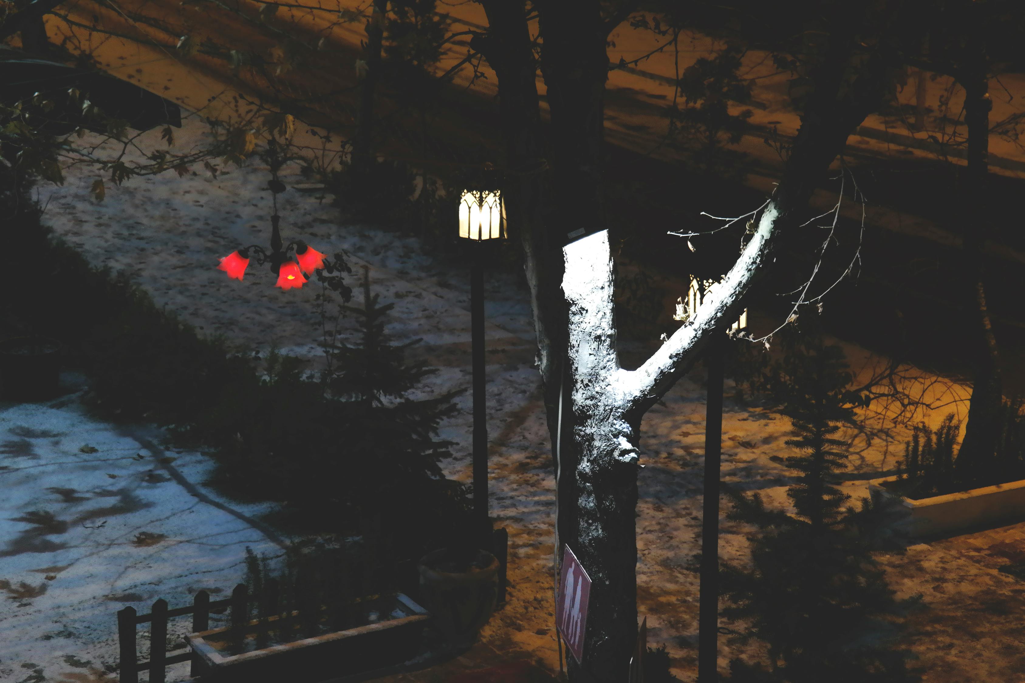 超越生与死的王者风采，动漫不死者之王。