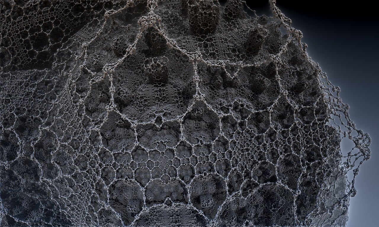 探索太空新篇章，最新登月动态揭秘