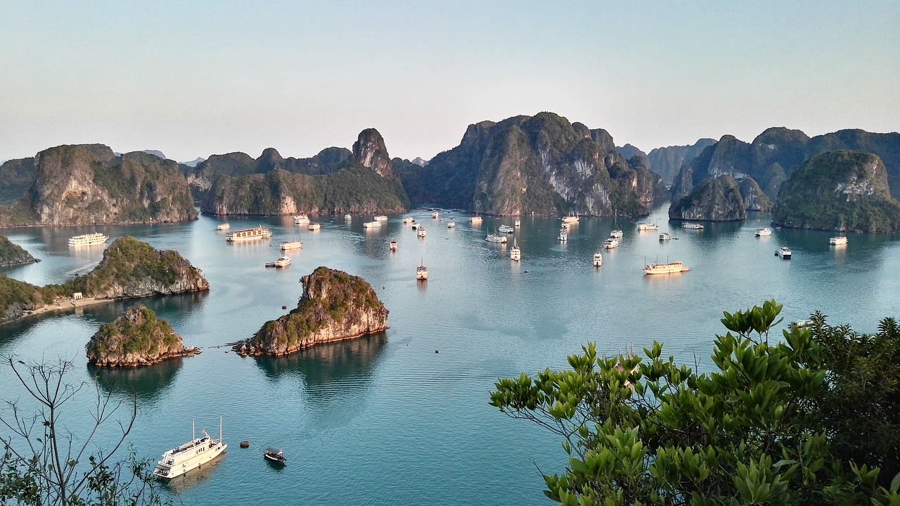 珠海最新鸟洞，自然奥秘与旅游新探的交汇点