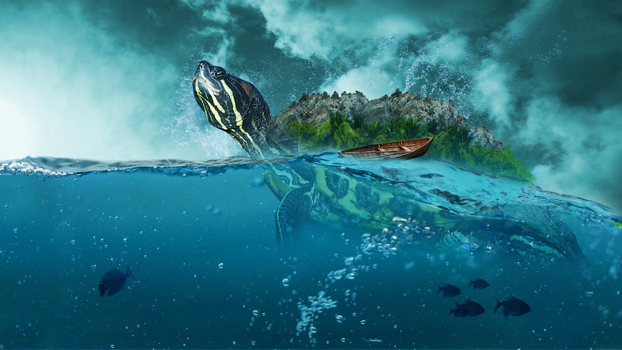 赶海最新版，探索海洋魅力的全新体验