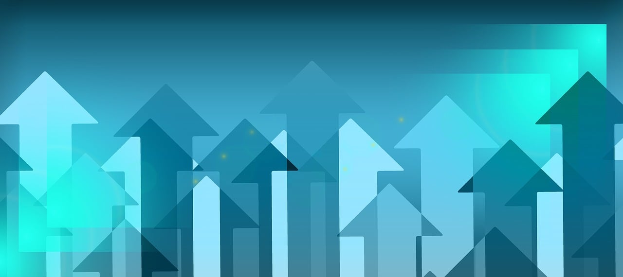 鲁能集团最新信息及深度解析报告