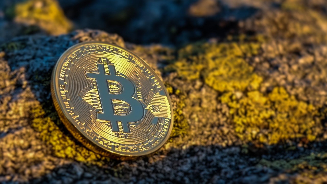 贷你盈最新动态，引领金融科技创新，助力经济发展新篇章