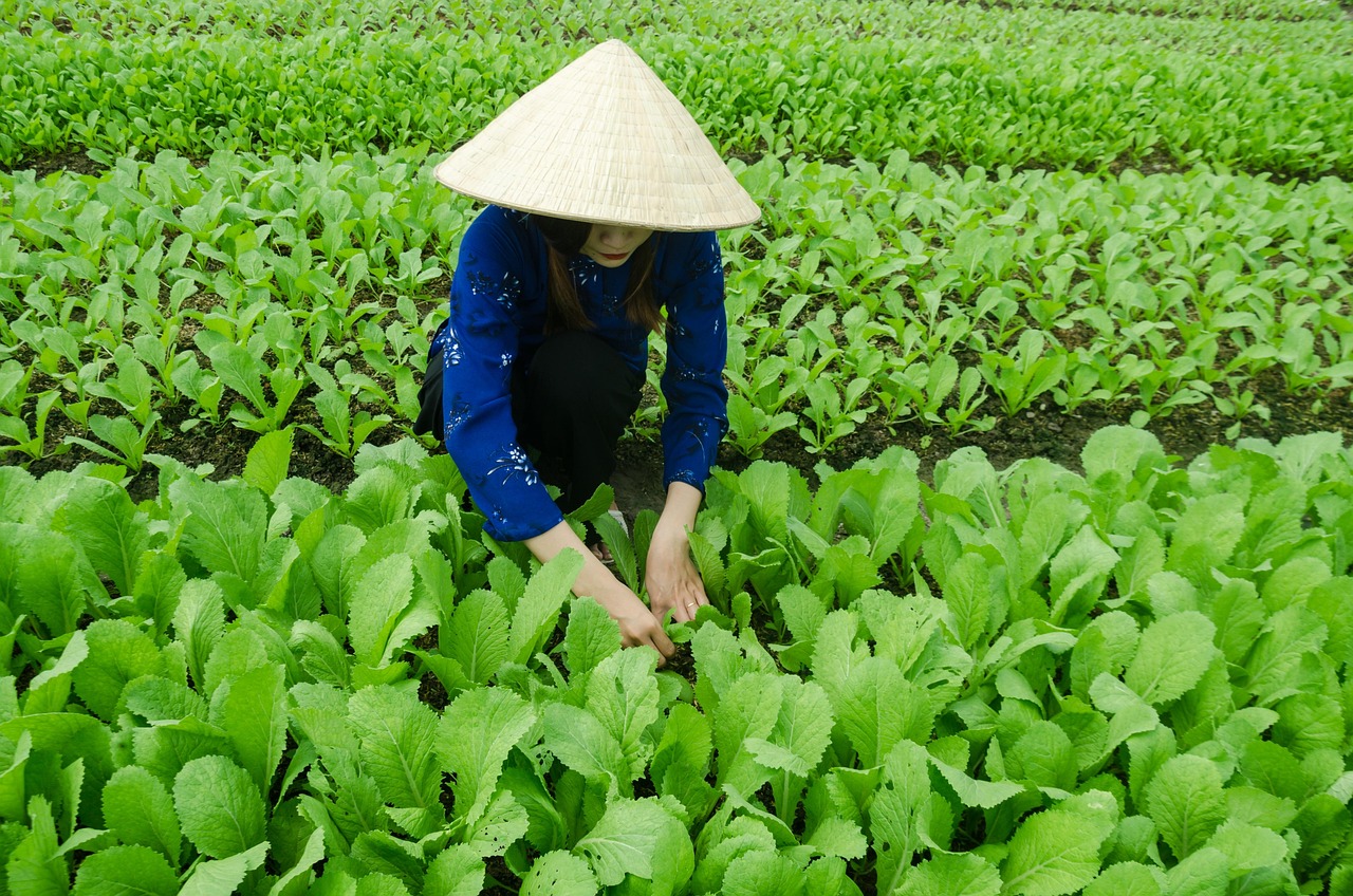 乘风的记忆 第7页