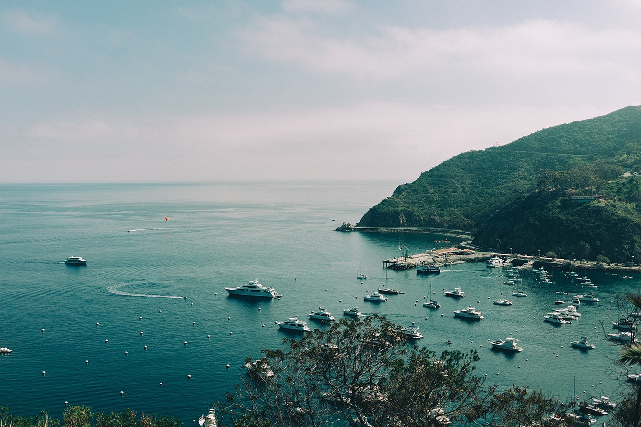 寒冰 第7页