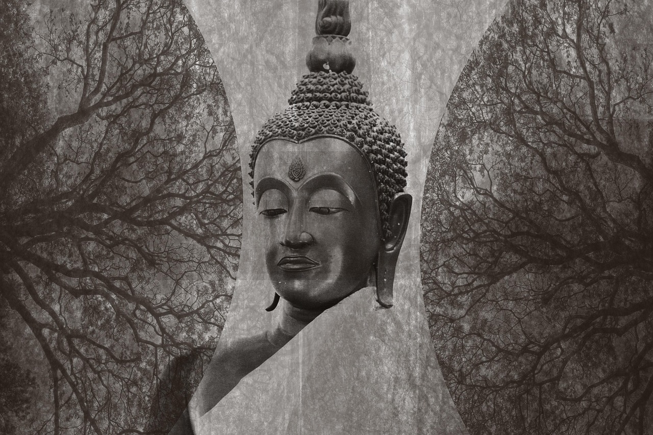 名柯最新案件揭秘，揭开神秘面纱的真相大探索