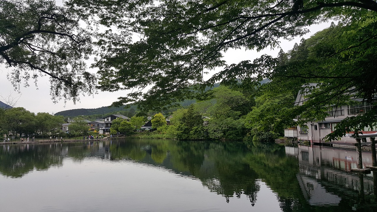 日本旅游入境最新动态解析与趋势展望