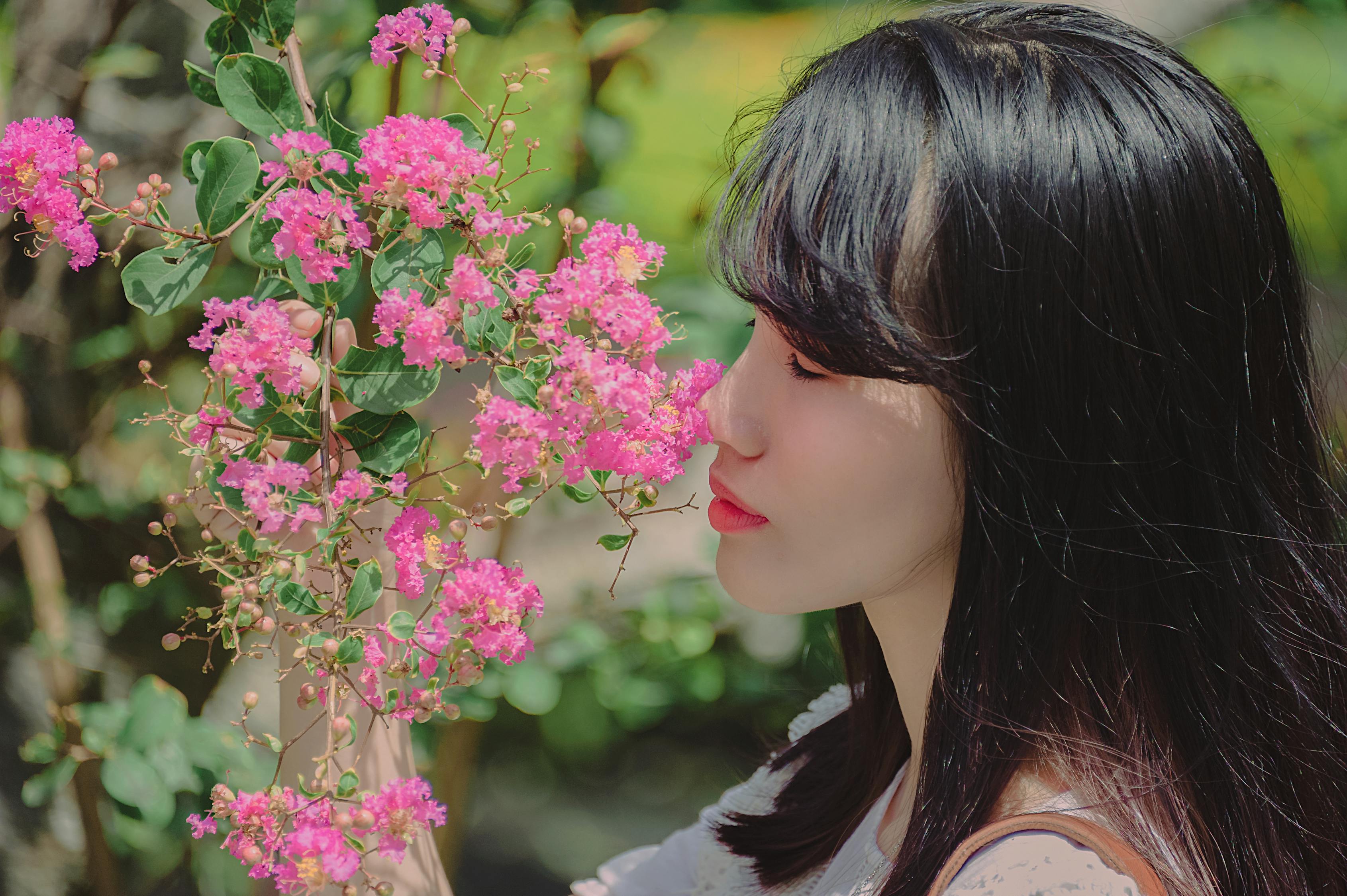 水杏最新结局，绽放与传承的美丽传奇之花杏的终极篇章