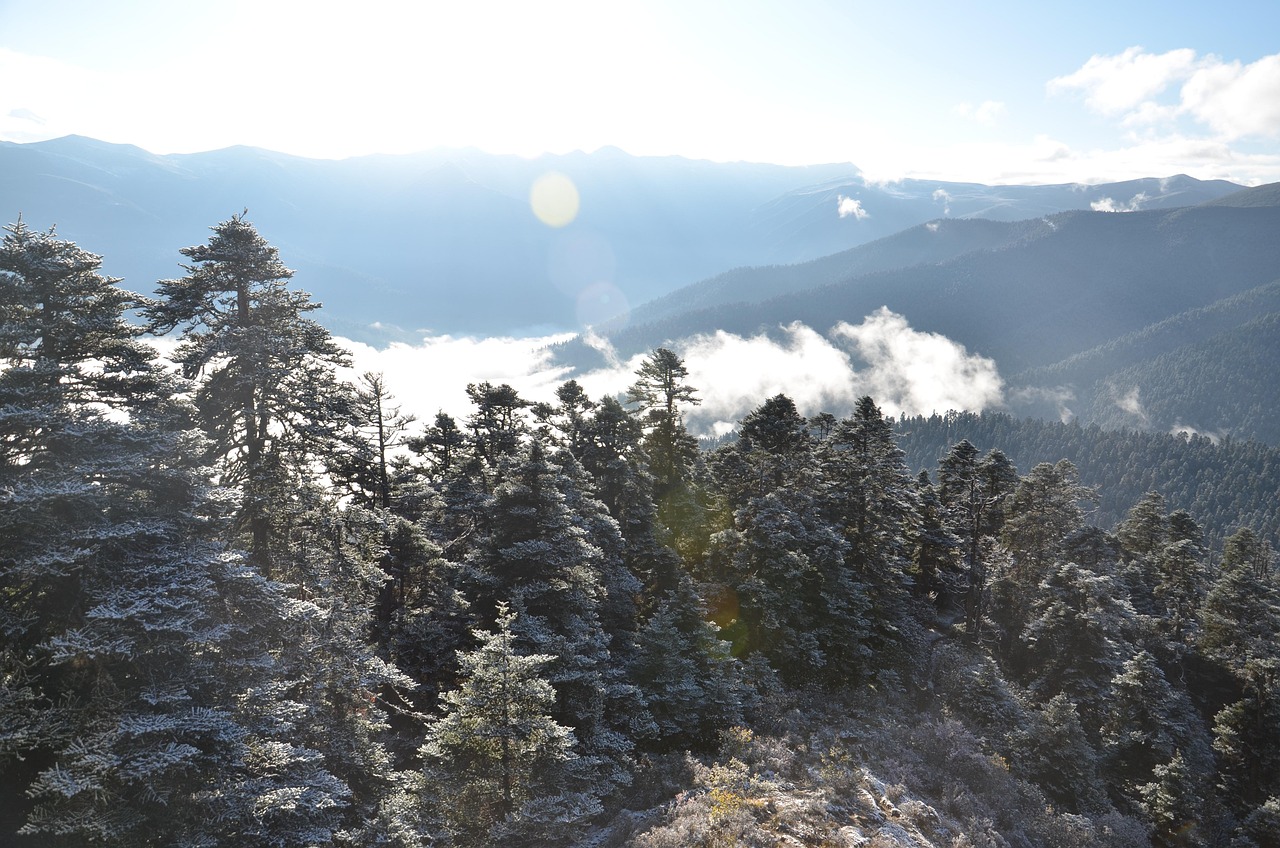 岳麓山迎冬日雪景，美丽奇迹展现山麓白雪最新报道