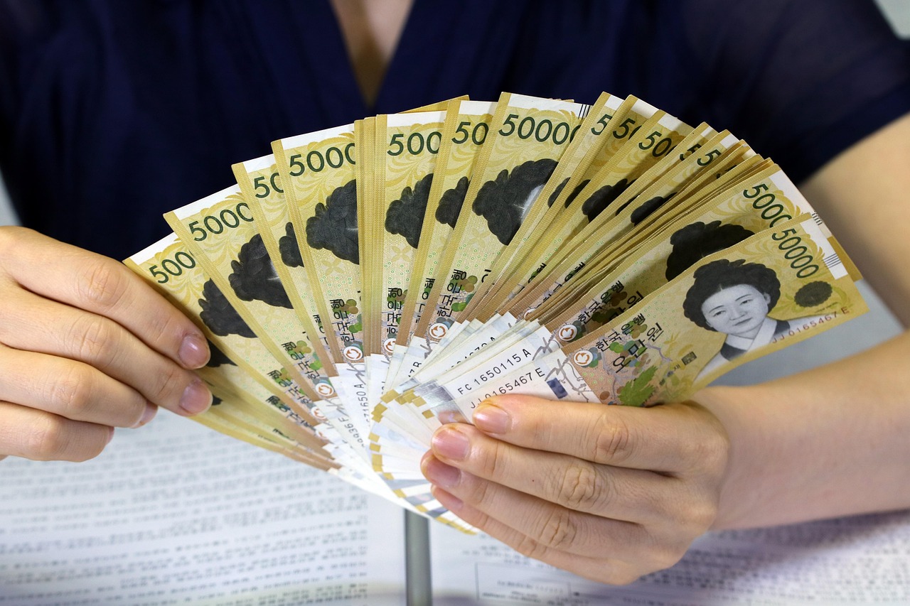 最新基金持仓股票深度分析与展望，持仓调整及未来趋势解读