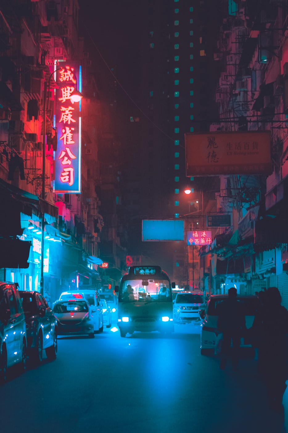新海诚最新动漫，未知领域的视觉盛宴探索之旅
